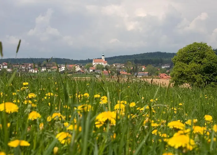 Vakantiehuis Blockhaus
